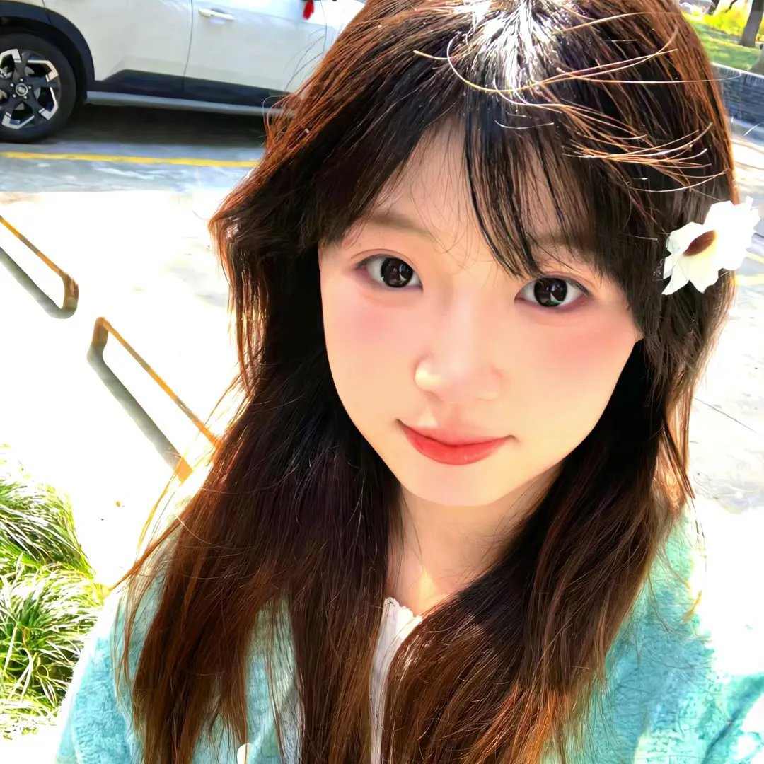 终结杉计划