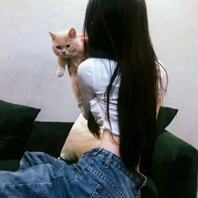 我的夜晚比你的白天更美